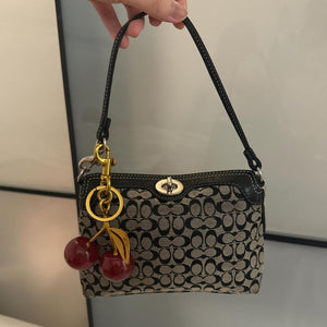 💖 Cutest mini coach bag in good condition