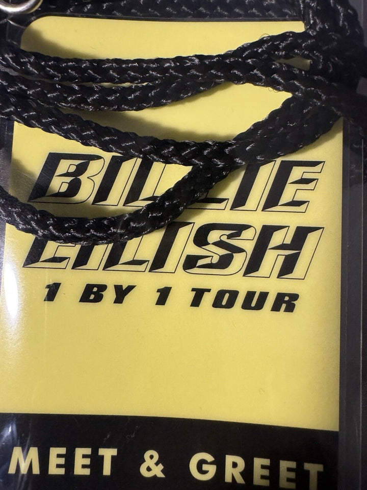 Billie Eilish Signed 1 By 1 Tour 2019 Poster W Lanyard, String Bag & Frame