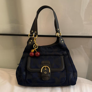 Beautiful authentic coach bag in excellent
