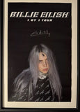 Billie Eilish Signed 1 By 1 Tour 2019 Poster W Lanyard, String Bag & Frame
