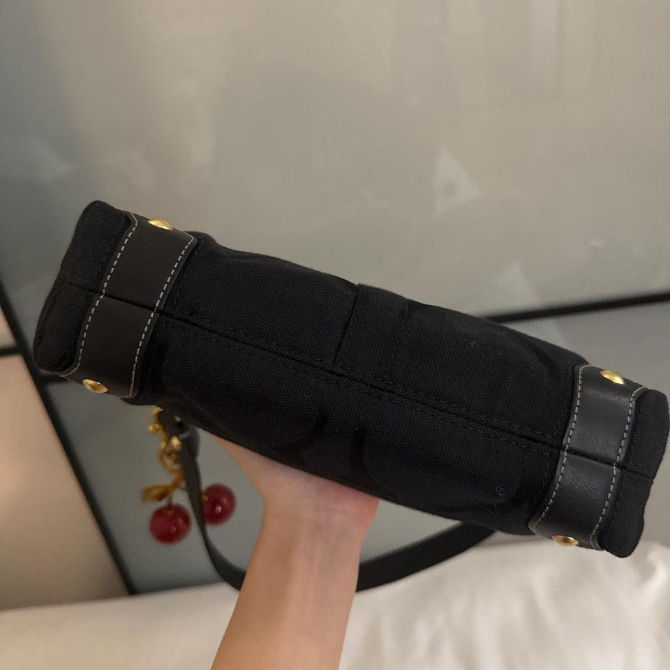 Cutest mini coach bag in excellent condition with no flaws