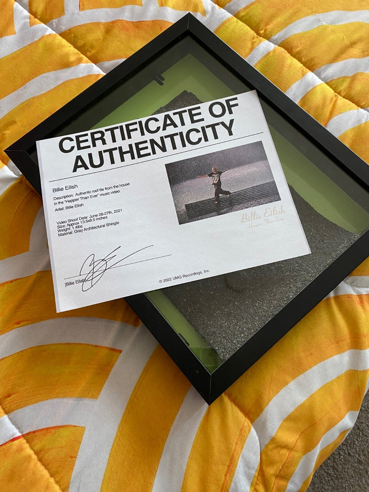 Billie Eilish Happier Than Ever MV Roof Tile w/CoA + Splatter Paint Art Cards